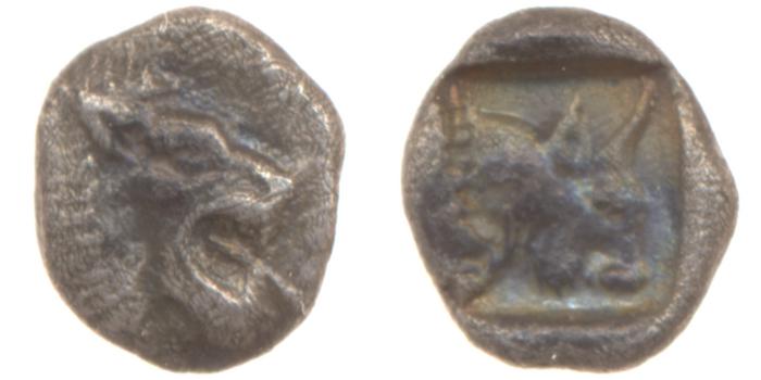 реверс Chersonesus, Caria Cahn 1970 Series C.26-27, 29