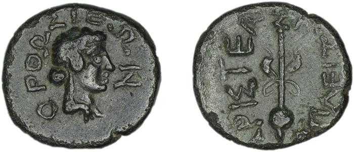 reverse Orthosia Cariae Delrieux 2008 OH10