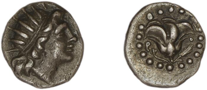 Rhodes BMC Rhodes 309-11, реверс, bm
