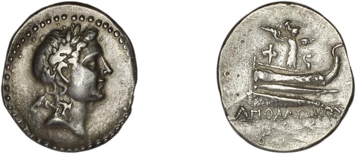 reverse Phaselis Heipp-Tamer 1993 10.2