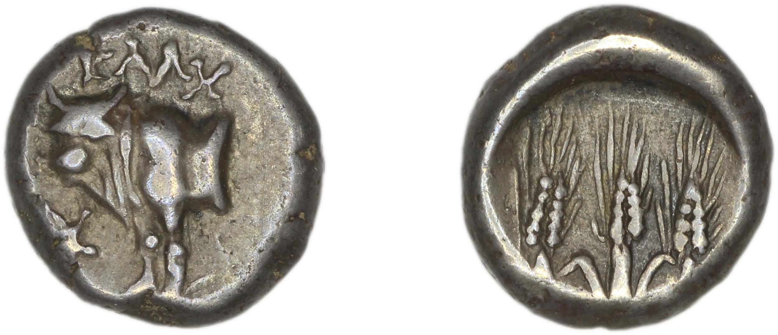 Calchedon Türkoğlu 2014 S03, аверс, bm