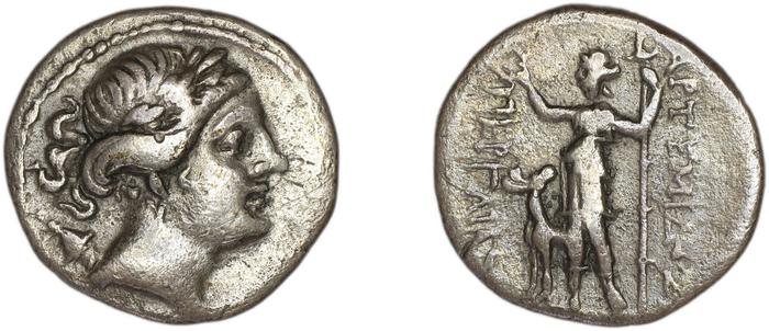 реверс Perge Colin 1996 1.3.2