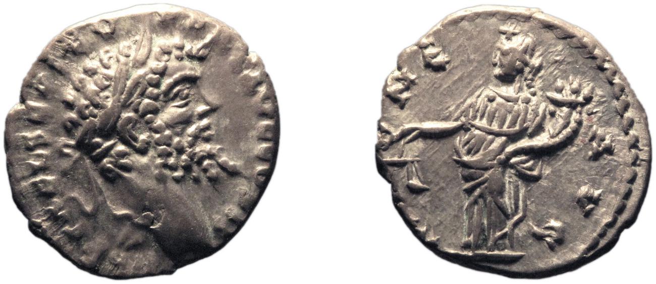 RIC IV Septimius Severus 411A, аверс, bm
