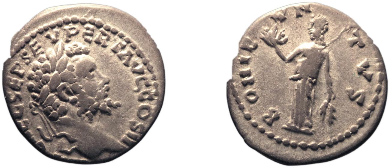 RIC IV Septimius Severus 369, аверс, bm