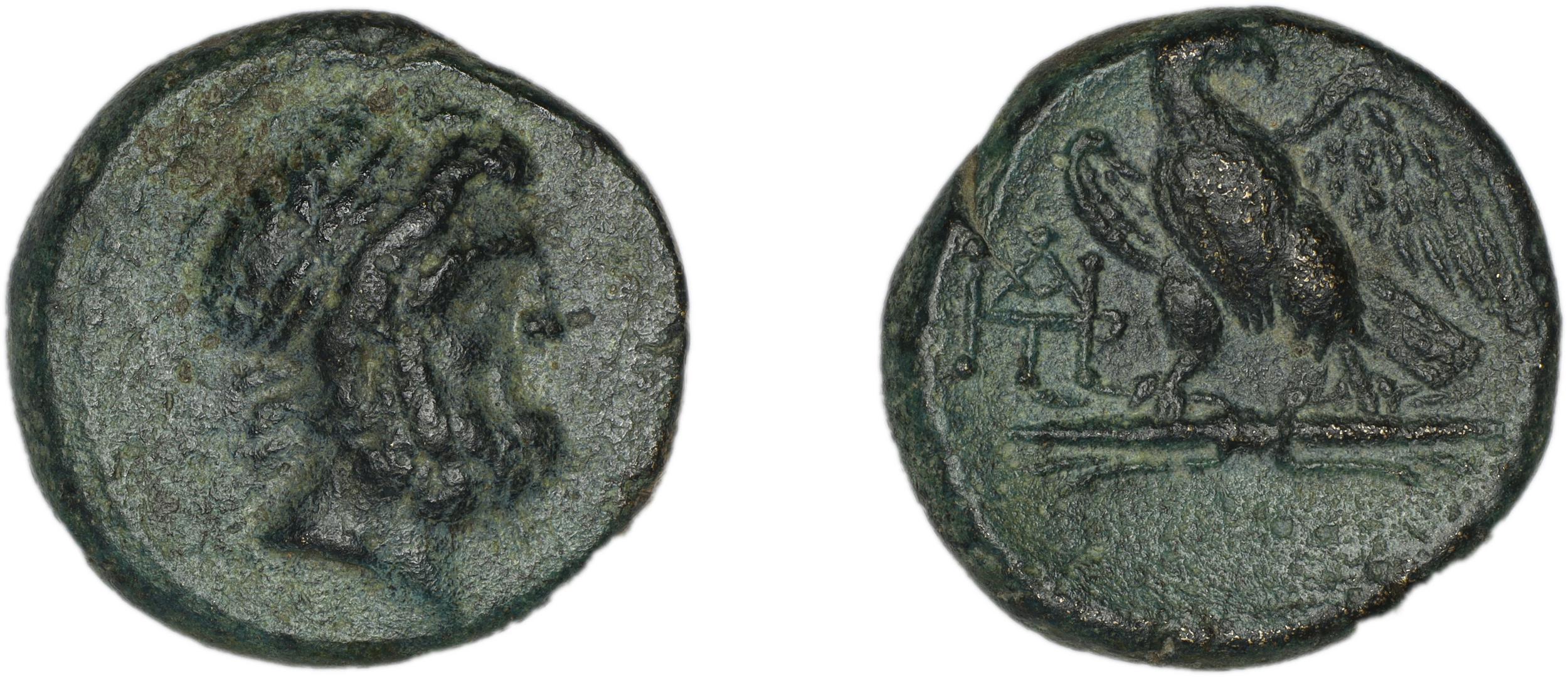 Deiotarus of Galatia Galatia Newell 1934 2, аверс, bm