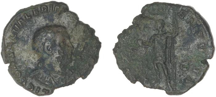 реверс RIC V Saloninus 32