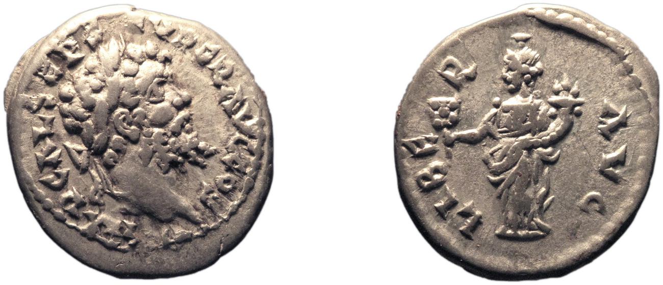 RIC IV Septimius Severus 398, аверс, bm