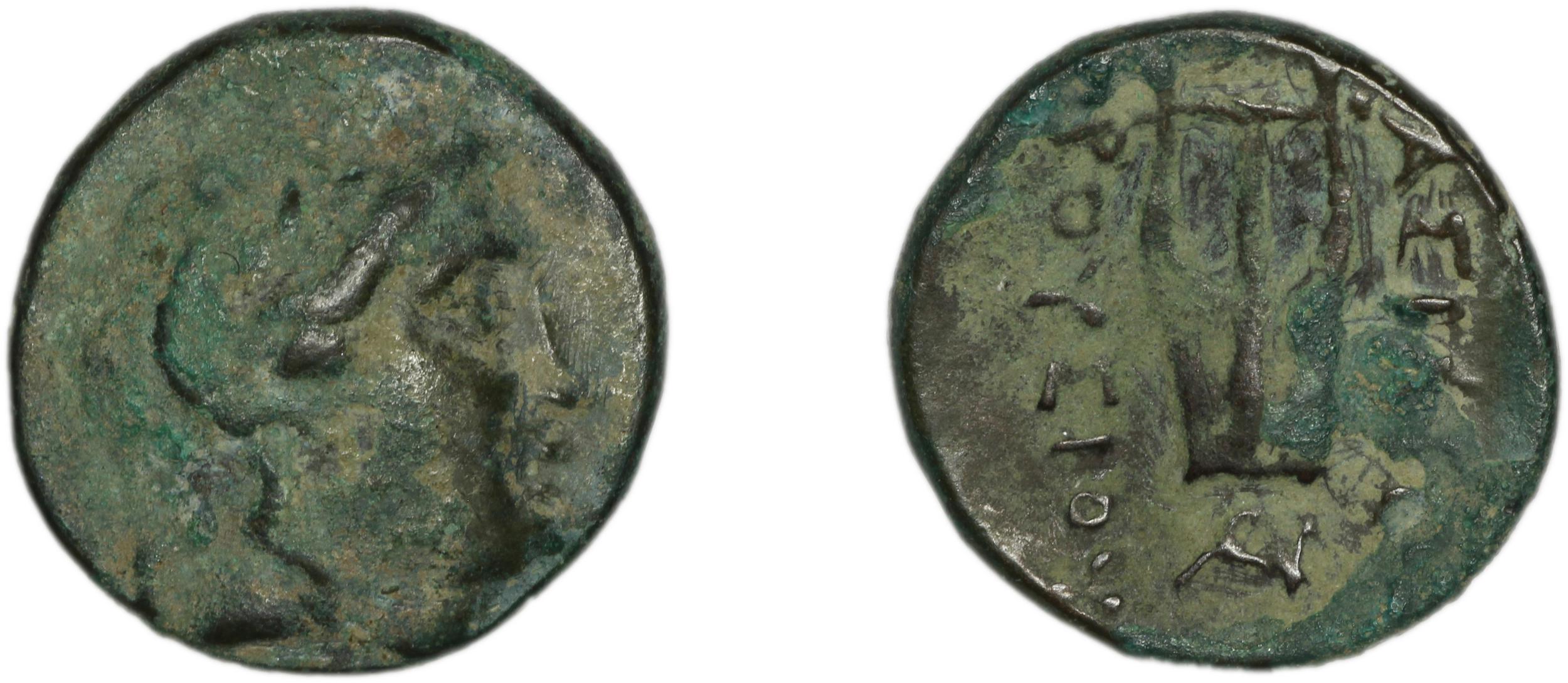 Prusias I of Bithynia Bithynia Waddington 1908 18, аверс, bm