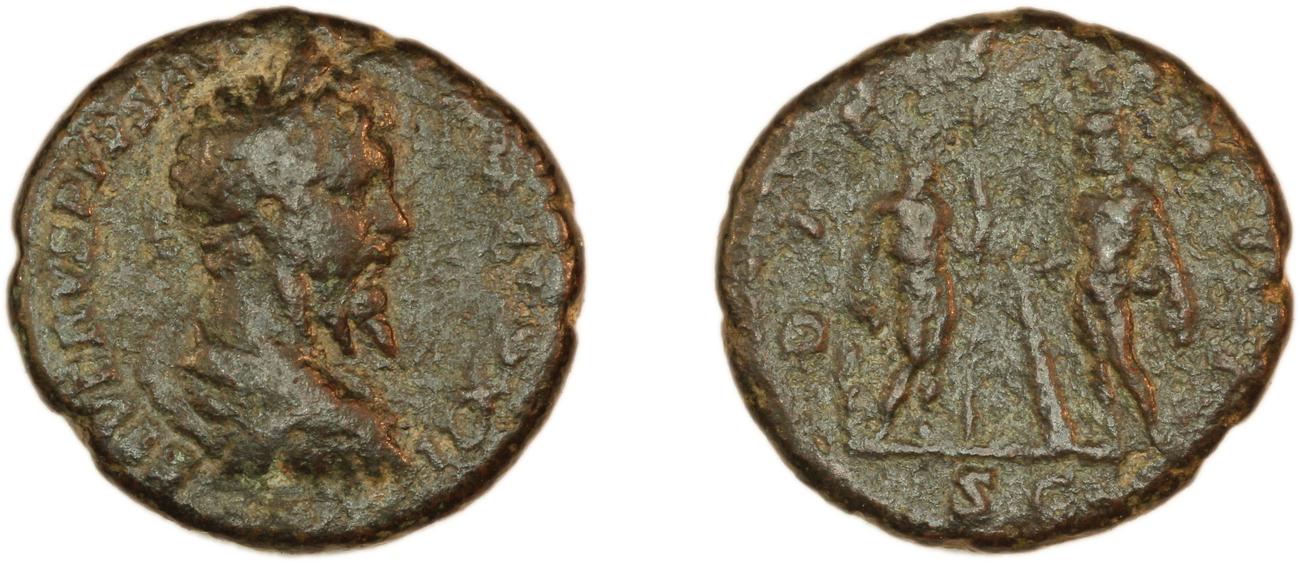 RIC IV Septimius Severus 762, аверс, bm