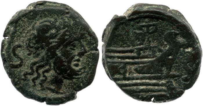 coin rev