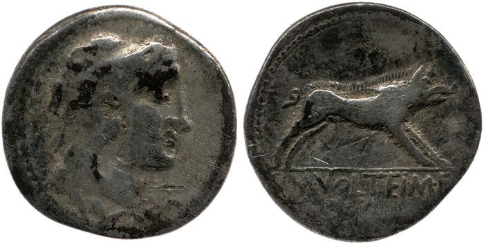 RRC 385/2, реверс, bm