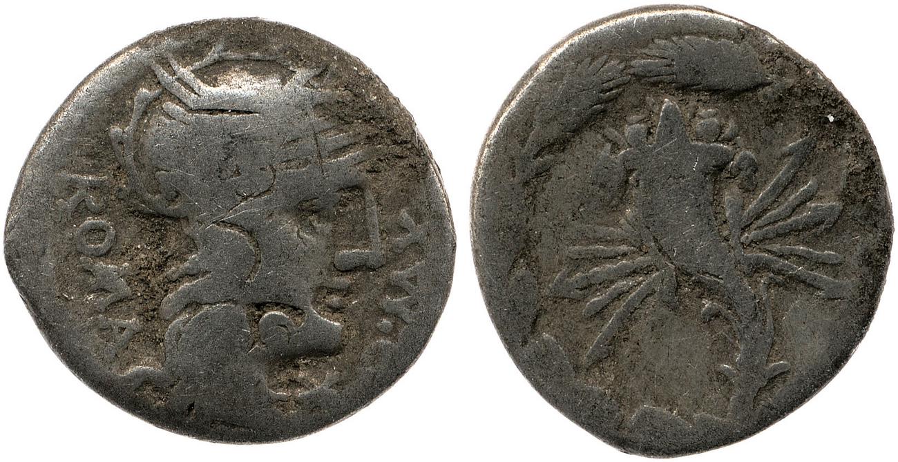coin obv