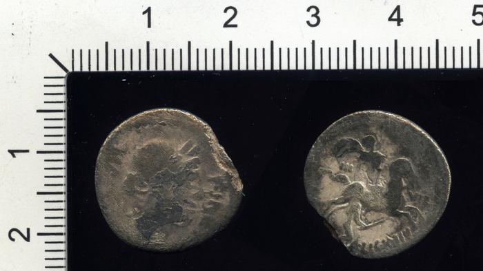 RRC 454/1, реверс, bm