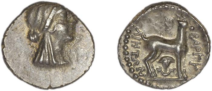 Bargylia SNG von Aulock 8074-5, реверс, bm