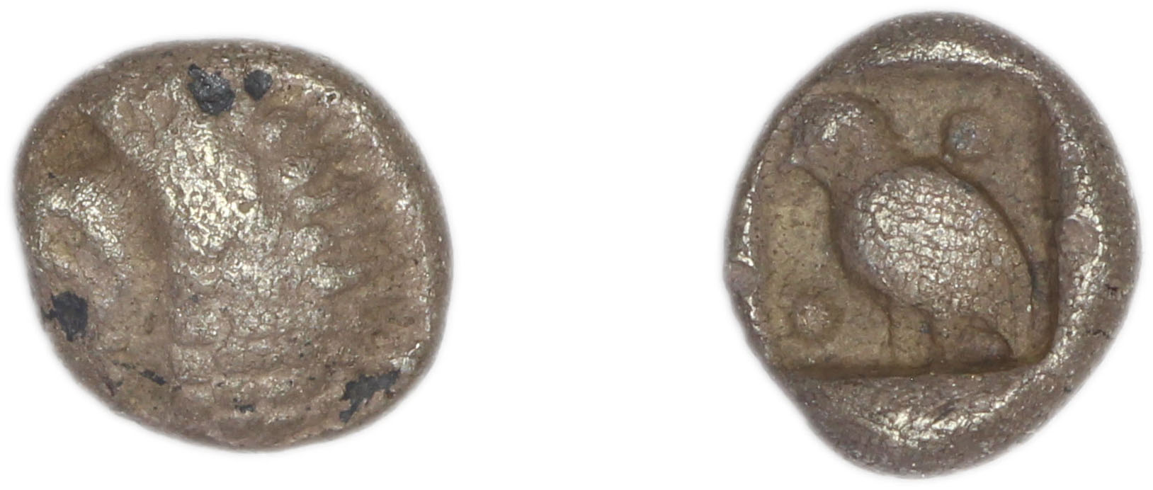 Miletus SNG Tübingen 3000-3017, аверс, bm
