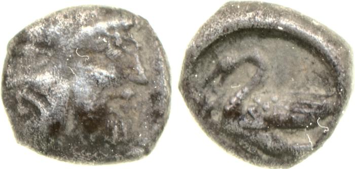 coin rev