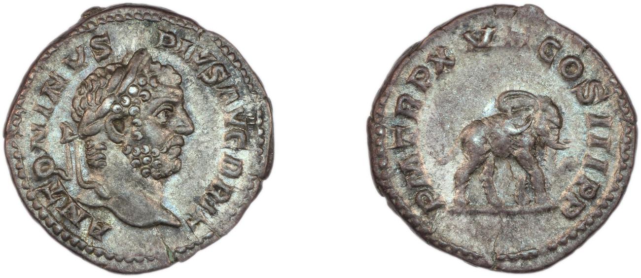 RIC IV Caracalla 199, аверс, bm