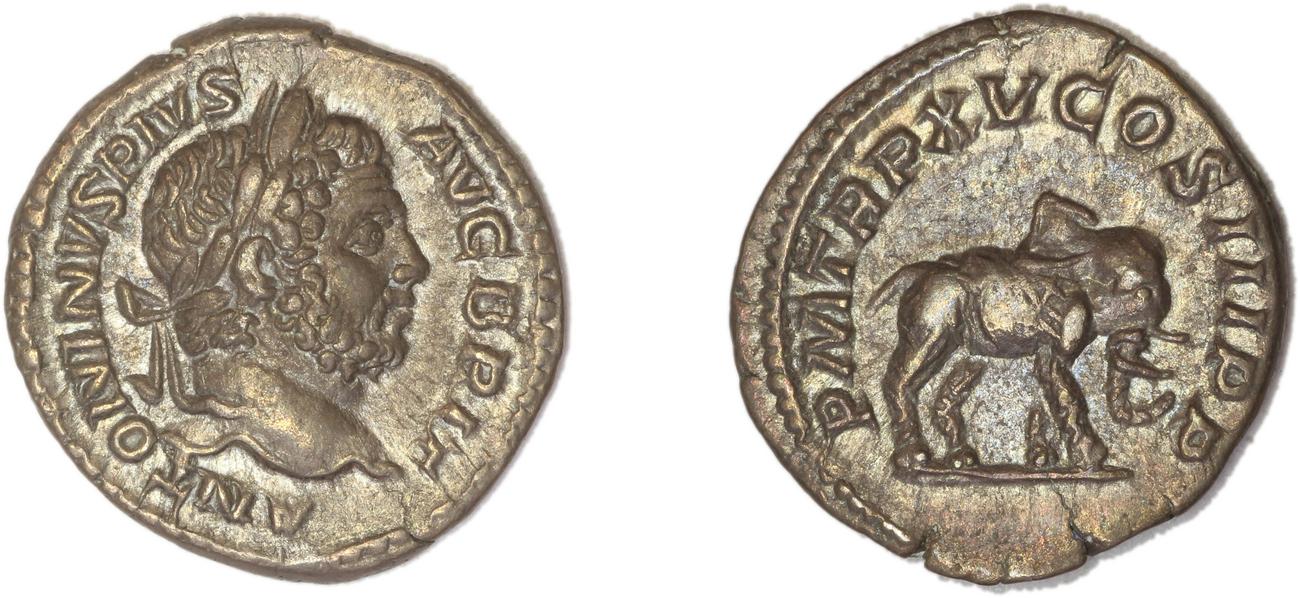 RIC IV Caracalla 199, аверс, bm