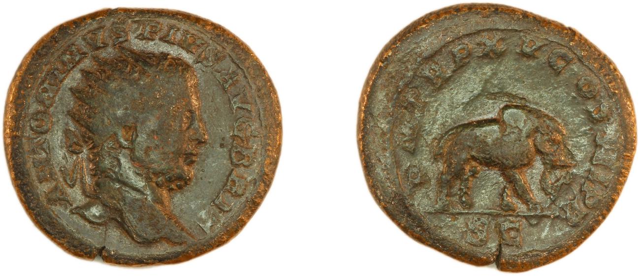 аверс RIC IV Caracalla 492B