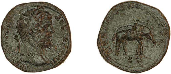 реверс RIC IV Septimius Severus 737