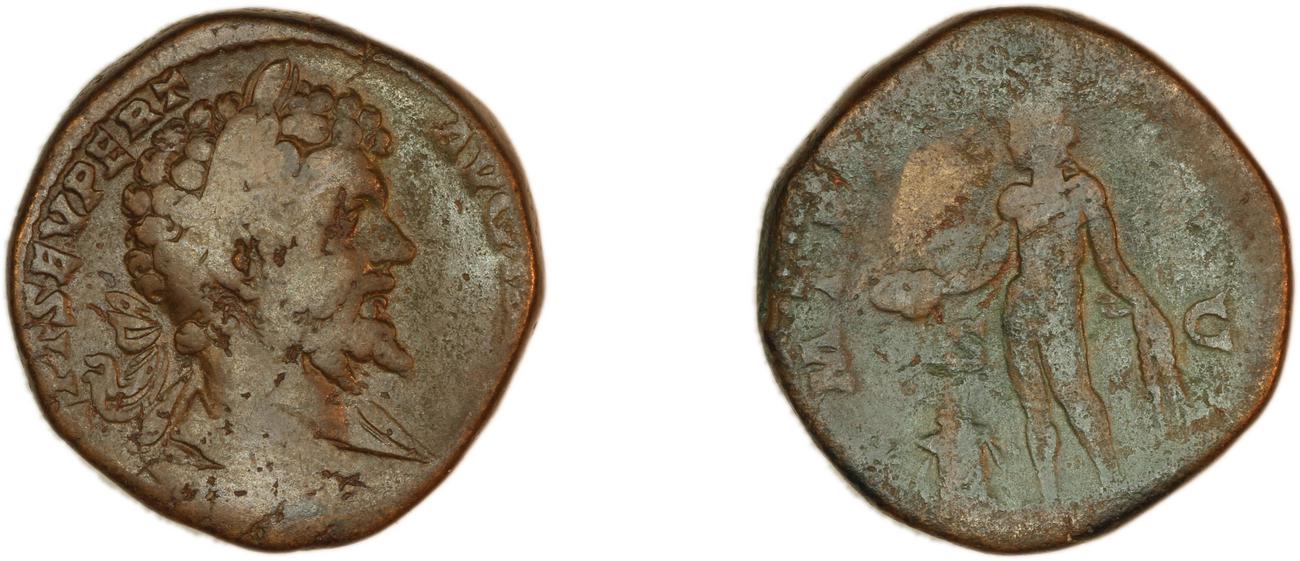 аверс RIC IV Septimius Severus 743