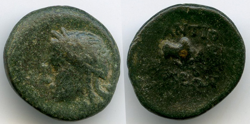 coin obv