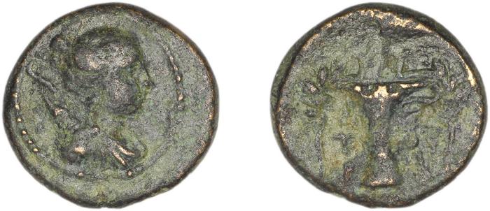 Cyme BMC Cyme 87, реверс, bm