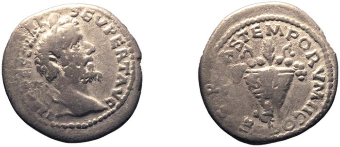 RIC IV Septimius Severus 375, реверс, bm