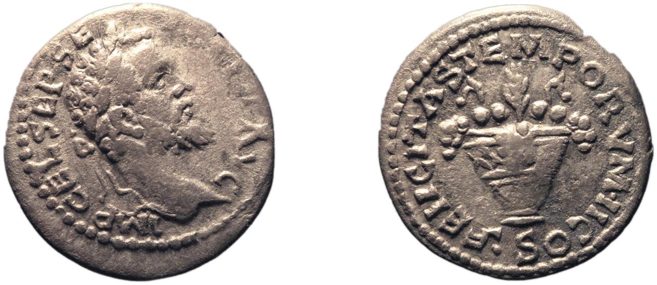 аверс RIC IV Septimius Severus 353