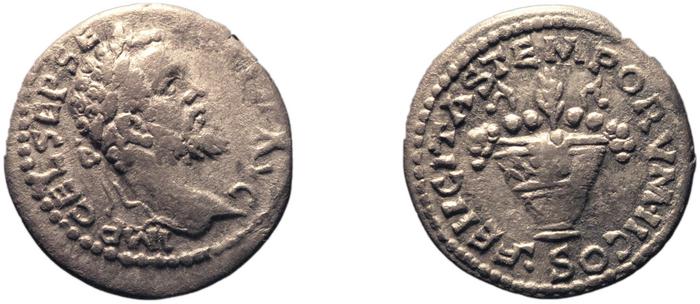 реверс RIC IV Septimius Severus 353