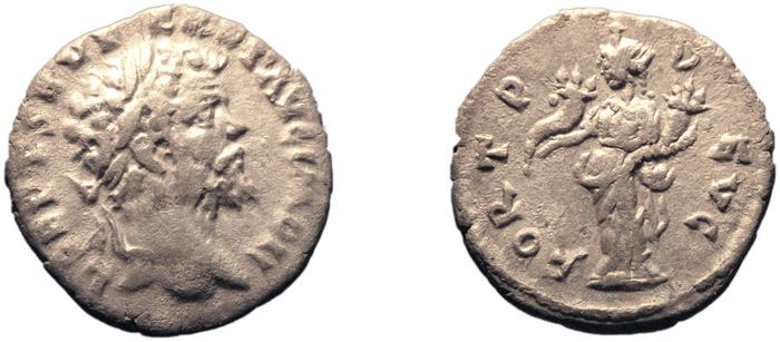 реверс RIC IV Septimius Severus 449A