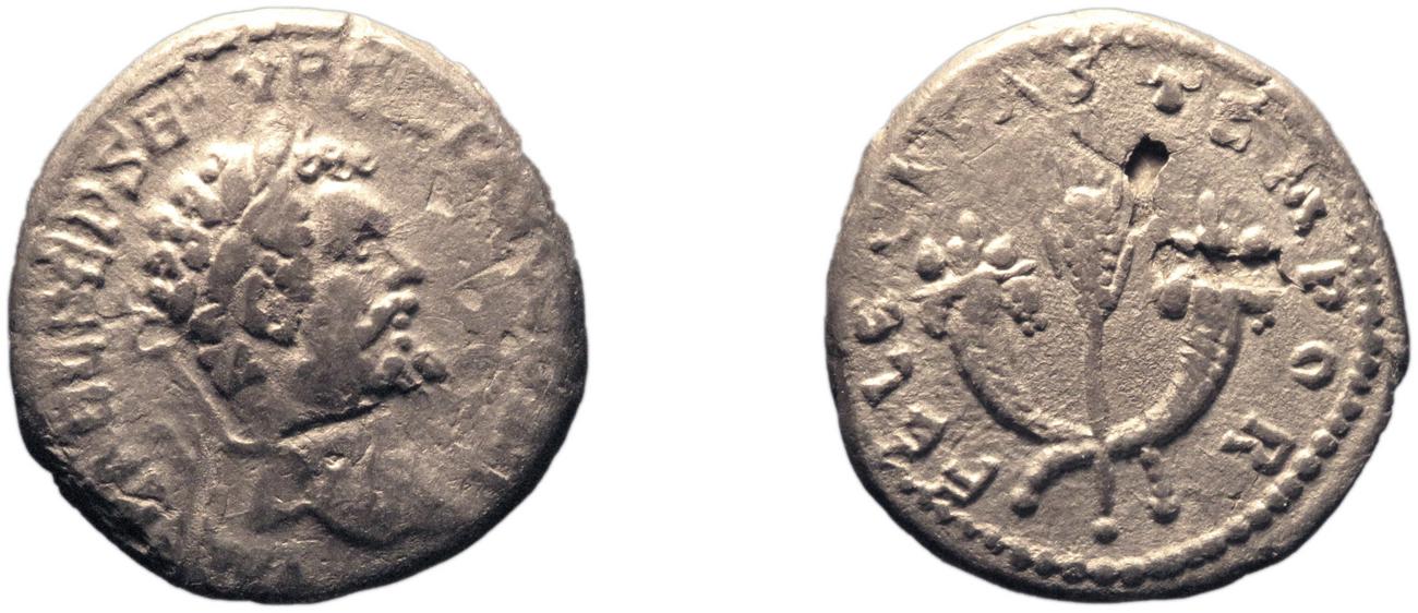 RIC IV Septimius Severus 374A, аверс, bm