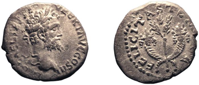 reverse RIC IV Septimius Severus 374A