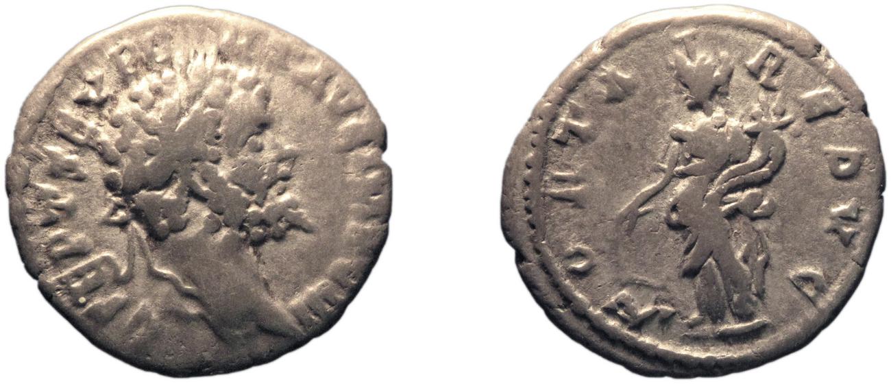 RIC IV Septimius Severus 477, аверс, bm