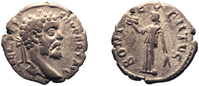RIC IV Septimius Severus 347, реверс, bm