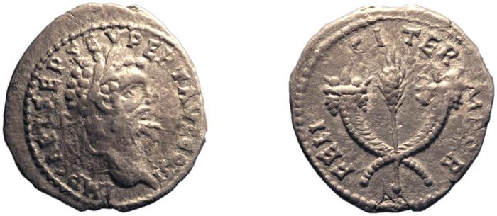 RIC IV Septimius Severus 373, реверс, bm
