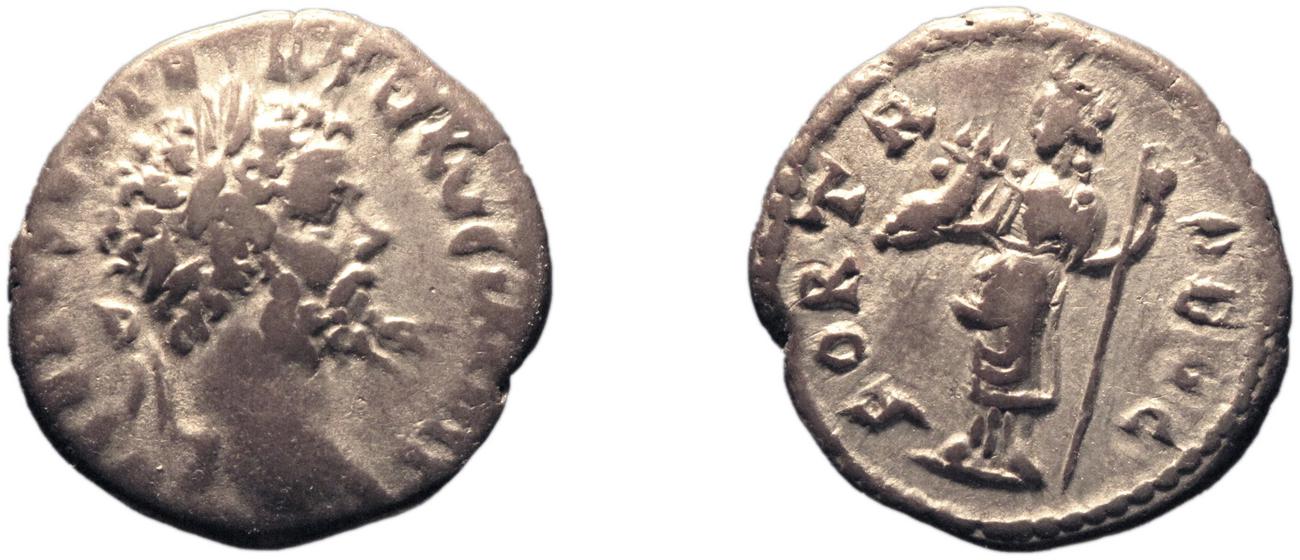 аверс RIC IV Septimius Severus 449