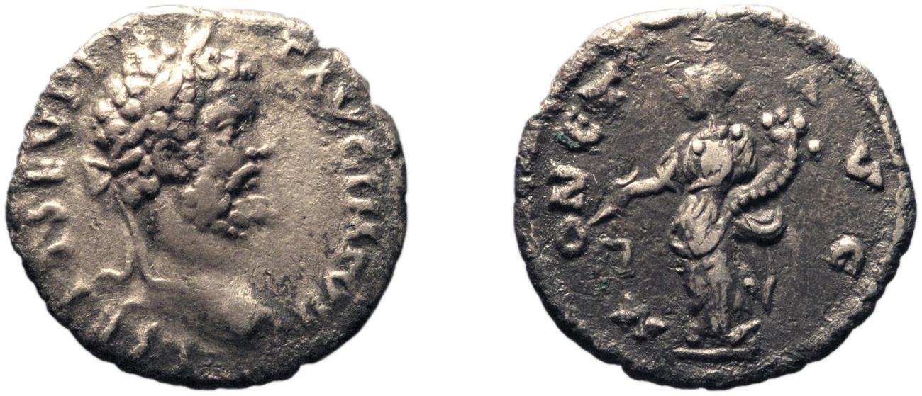 аверс RIC IV Septimius Severus 484A