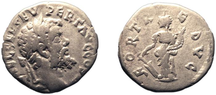 реверс RIC IV Septimius Severus 376B