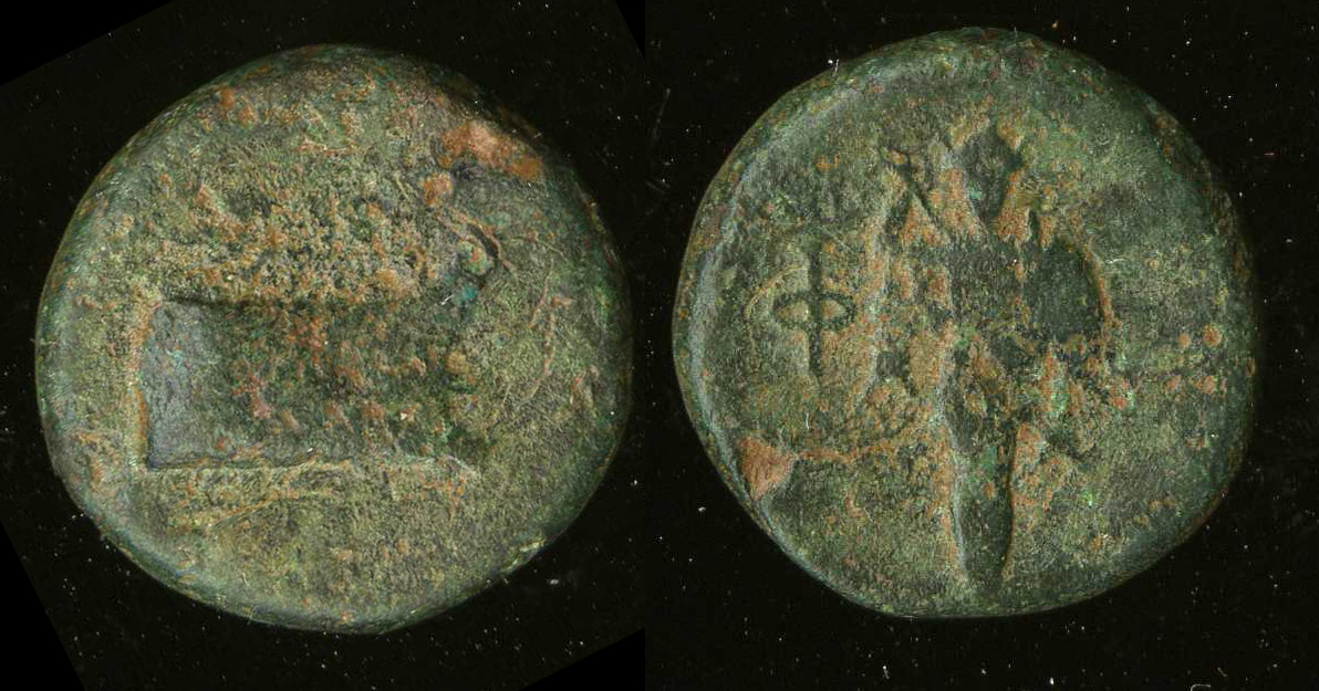 Phaselis Heipp-Tamer 1993 AE 2, аверс, bm