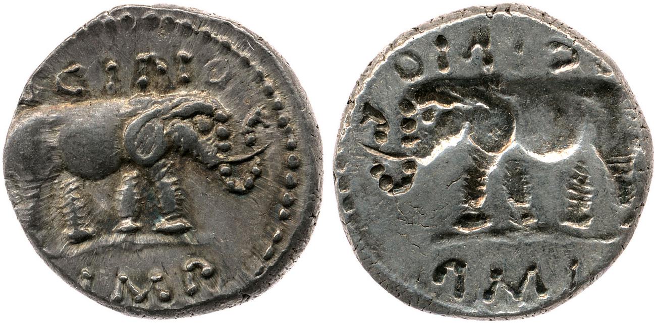 coin obv