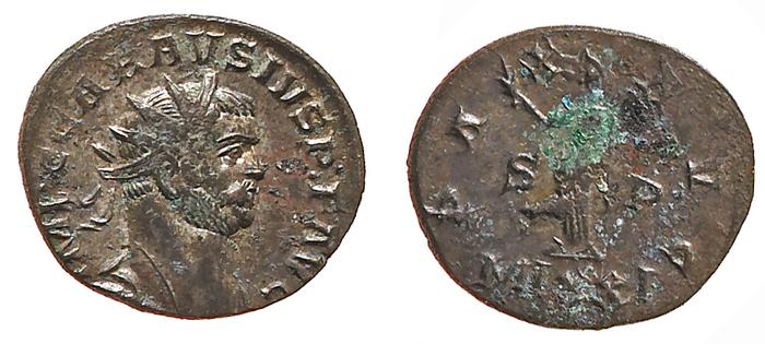 RIC V Probus 118, реверс, bm
