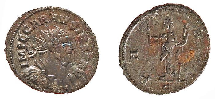 RIC V Probus 300, реверс, bm
