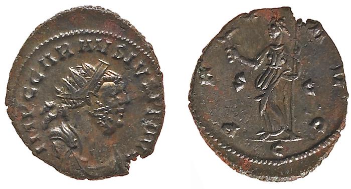 RIC V Probus 300, реверс, bm