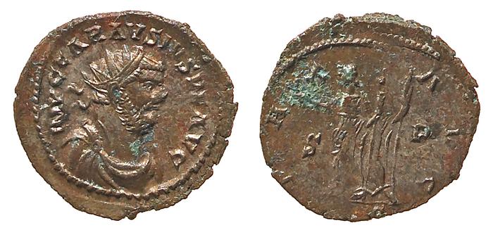 RIC V Probus 300, реверс, bm