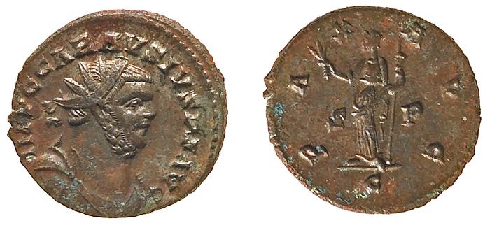 RIC V Probus 300, реверс, bm