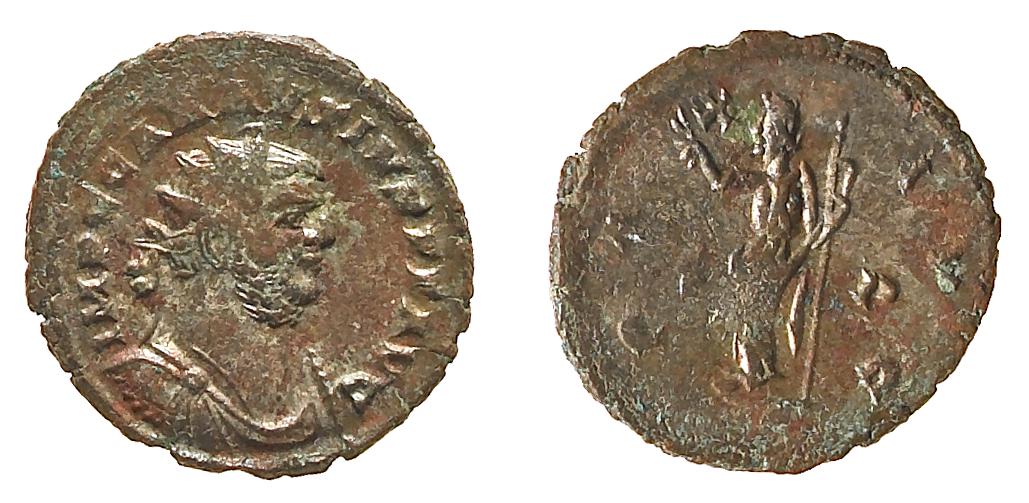RIC V Probus 300, аверс, bm
