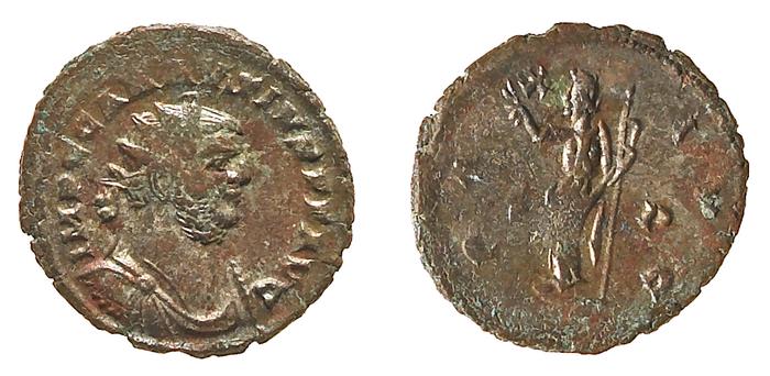 RIC V Probus 300, реверс, bm