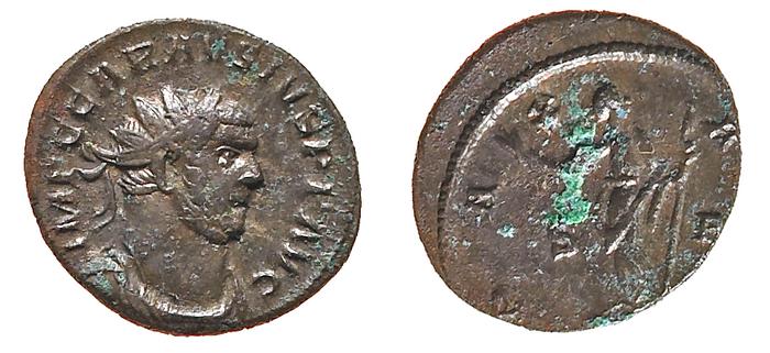 RIC V Probus 300, реверс, bm