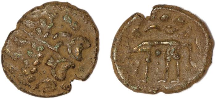 Iceni rev